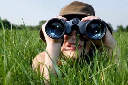binoculars